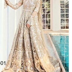 Indian Pakistani party wear dress wedding dress